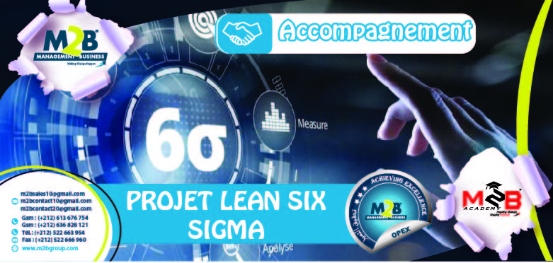 Optimisation et Amélioration productivité _Lean Six Sigma
