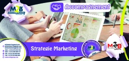 [SAC_STRAT_Stratégie Marketing] Stratégie Marketing