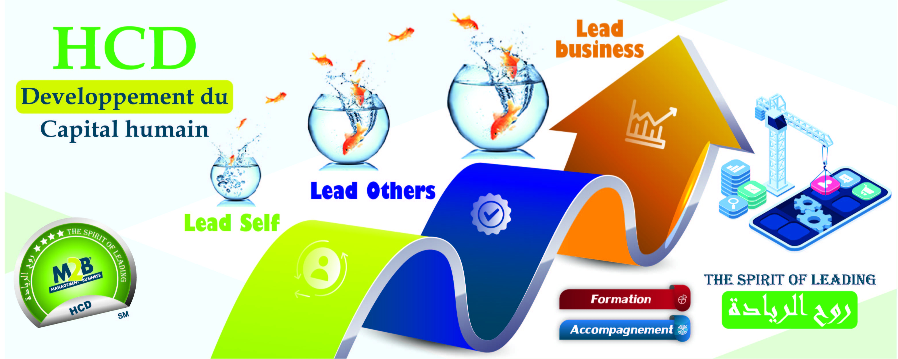 m2b-consulting-jpg-6