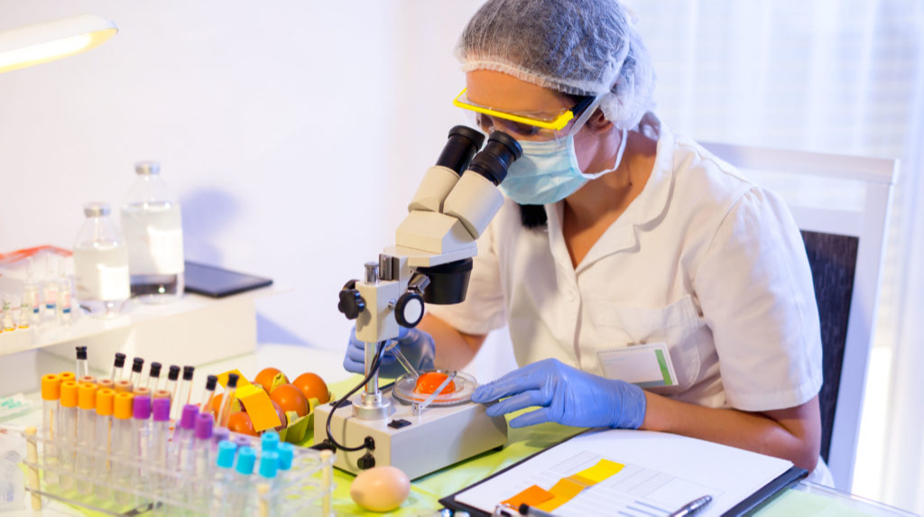 formation HACCP formation HACCP